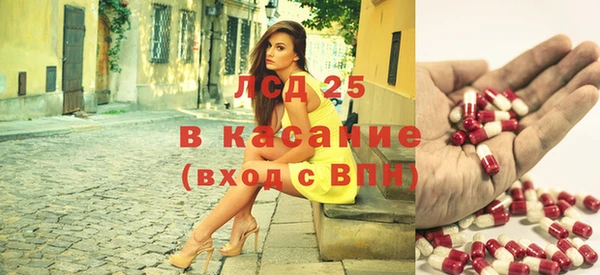 ГАЛЛЮЦИНОГЕННЫЕ ГРИБЫ Алексин
