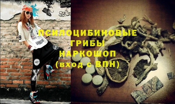 ГАЛЛЮЦИНОГЕННЫЕ ГРИБЫ Алексеевка