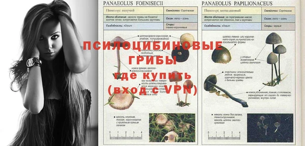 ГАЛЛЮЦИНОГЕННЫЕ ГРИБЫ Алексеевка