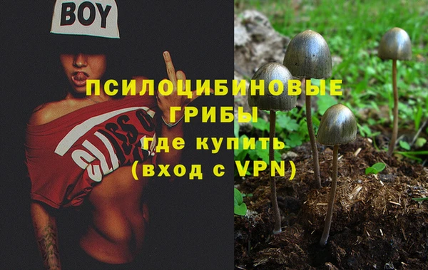 ГАЛЛЮЦИНОГЕННЫЕ ГРИБЫ Алексин