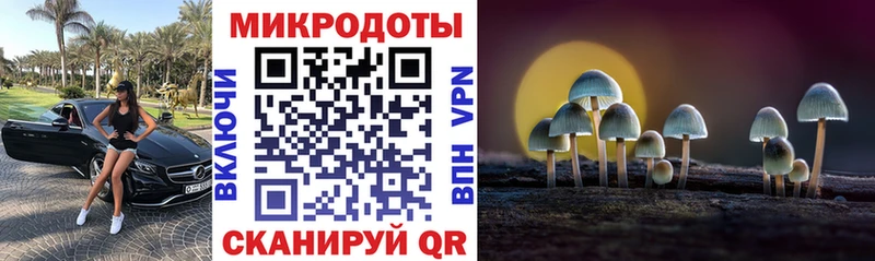 Купить  Чишмы  Псилоцибиновые грибы мицелий 