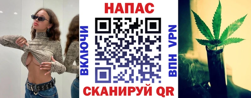 Конопля сатива Чишмы